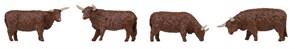 151958 Высокогорный скот, коричневый