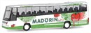 61624 Автобус  VOLVO B12-600 *Madorin* (CH)