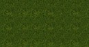 07112 Трава высокая светло-зеленая h=12мм (40г)