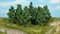 1532 Лиственные деревья (15 каркасов ~150 мм и листва) - фото 12000