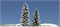 6152 Ёлки в снегу (2) деревья 90+120мм - фото 13163