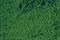 1612 Флок темно-зеленый мелкий 200мл - фото 15172