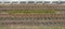 1811 Полоска травы лето 100мм,  h-6мм (10шт) - фото 15437