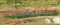 1813 Полоска травы тем.-зеленая 100мм,  h-6мм (10шт) - фото 15440